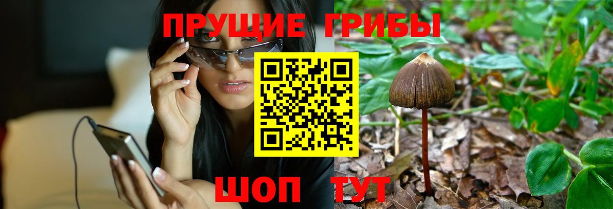 Галлюциногенные грибы мухоморы Гусь-Хрустальный